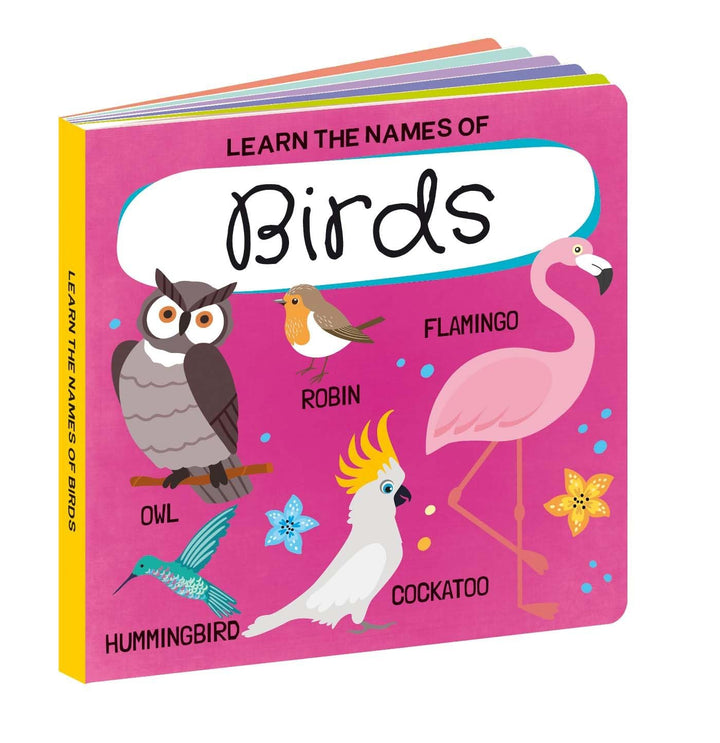 3D Puzzle and Book Set - Birds