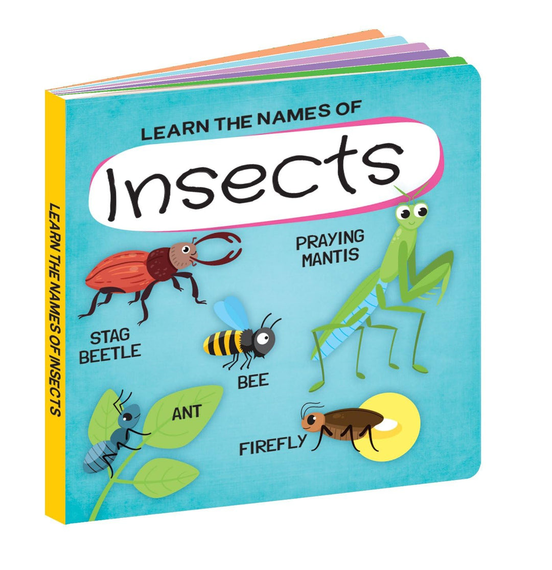 3D Puzzle and Book Set - Insects