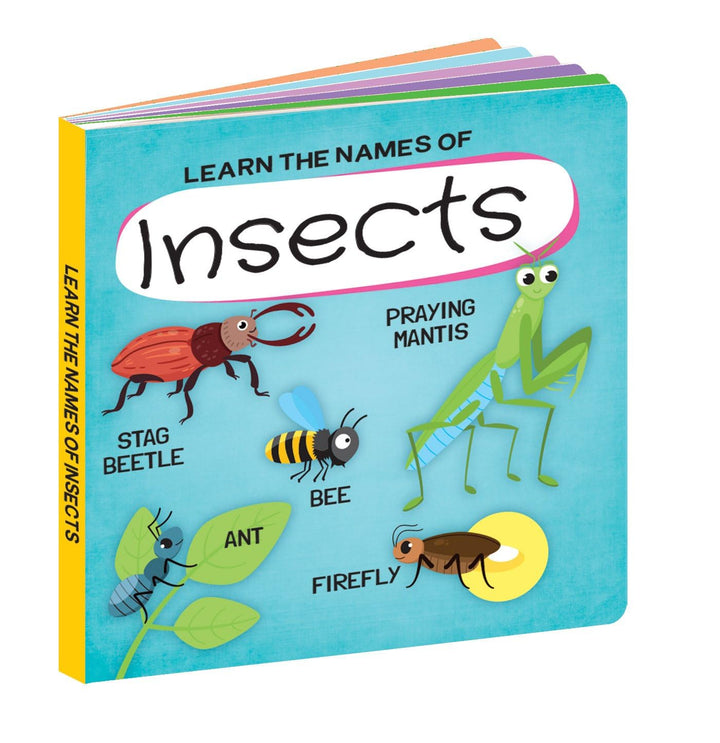 3D Puzzle and Book Set - Insects