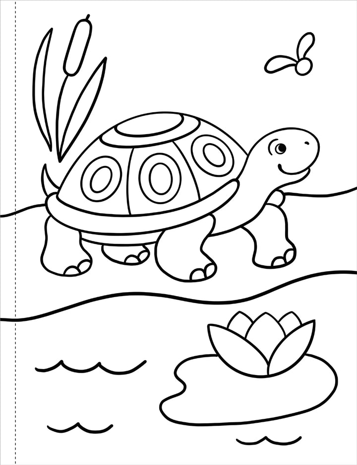 My First Colouring Book - Animals