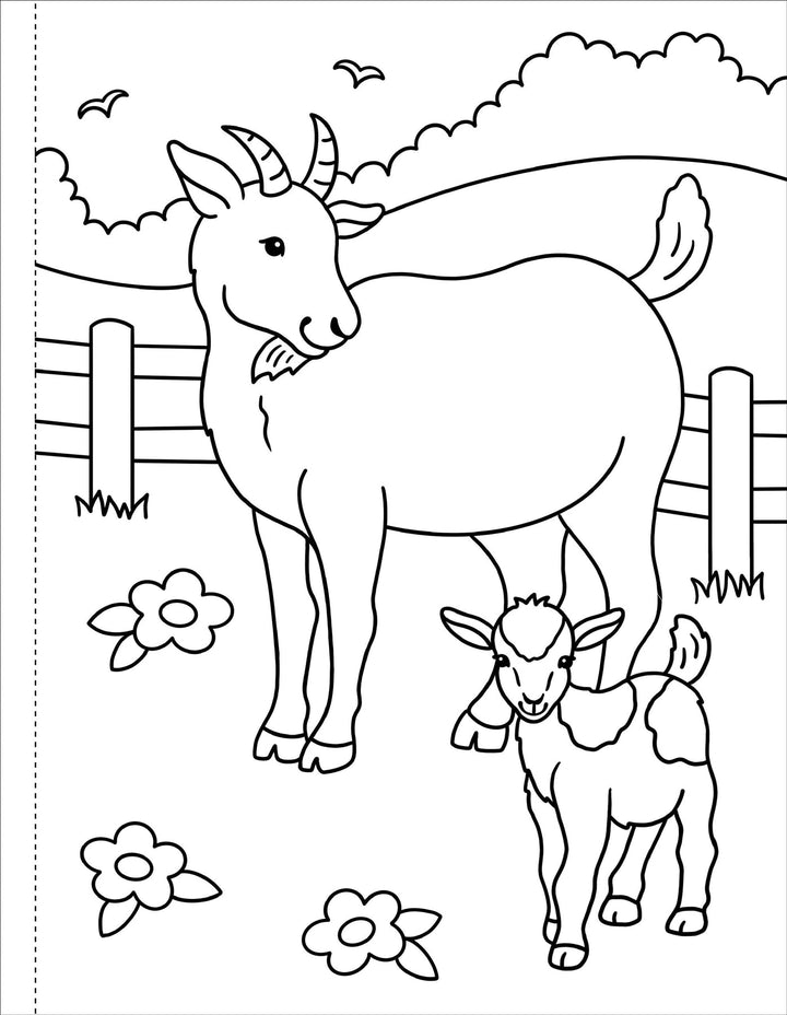 My First Colouring Book - On the Farm