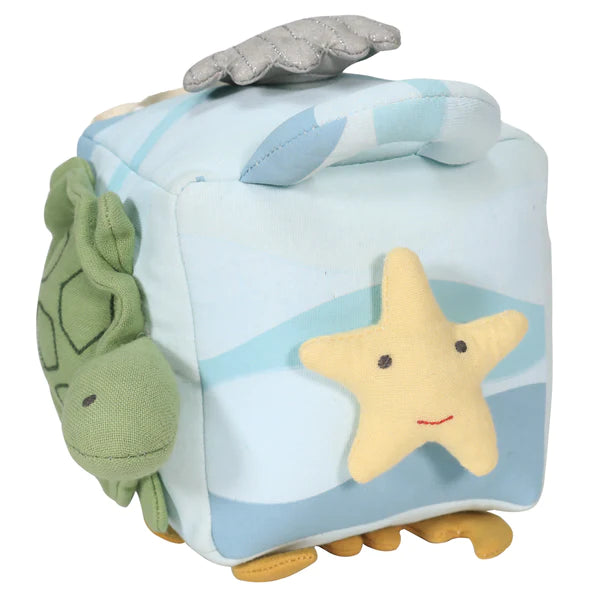 Ocean Activity Cube