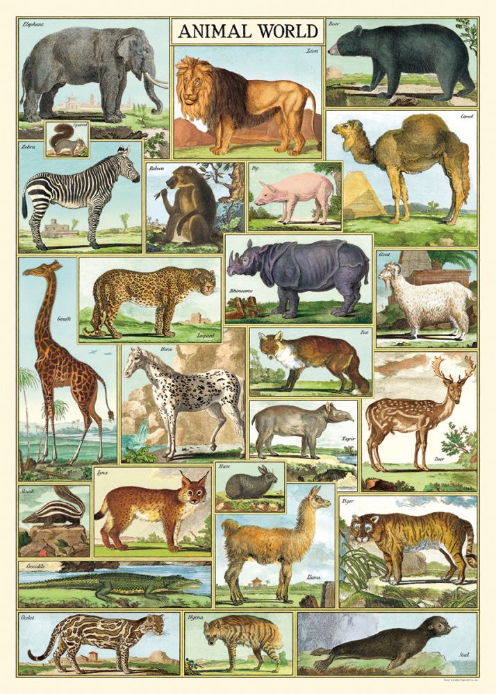 Poster - Animal World