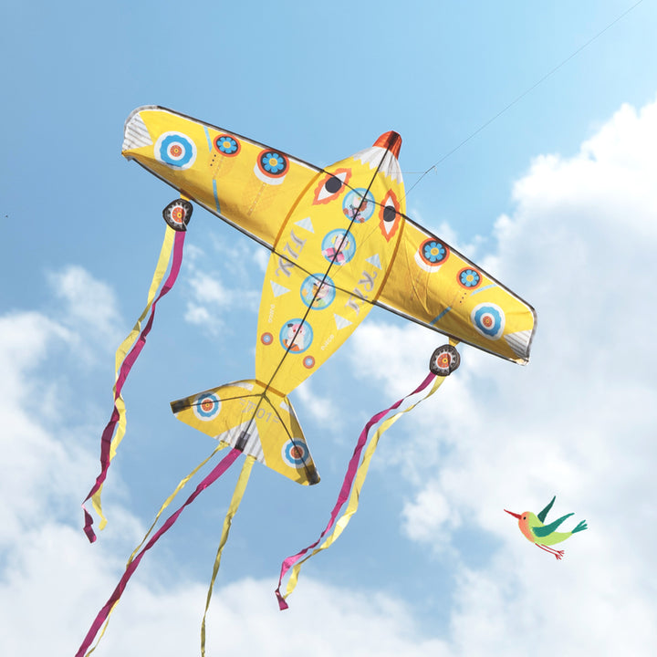 Maxi Kite - Plane