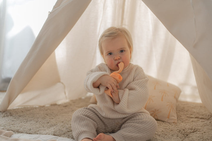 Teether Toy - Lingo the Flamingo