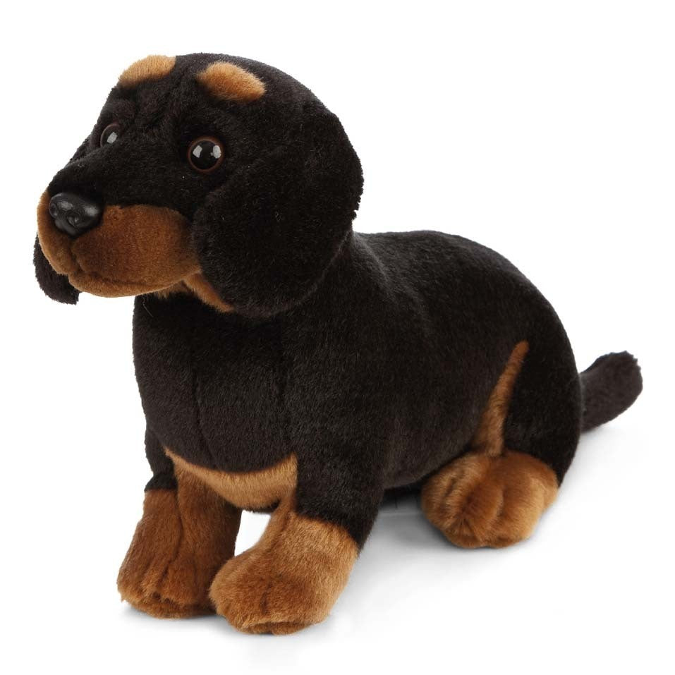 Plush | Dachshund