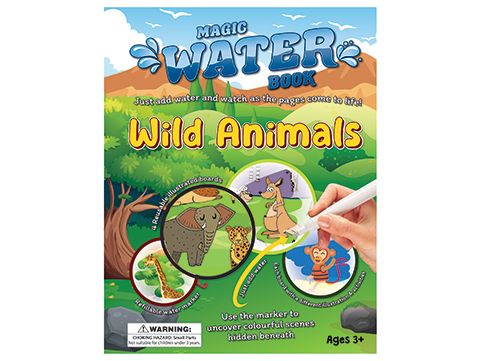 Magic Water Book - Assorted