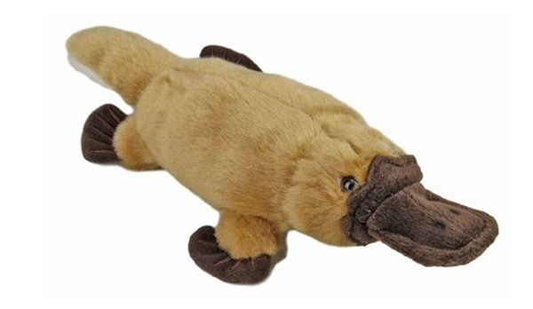 Baby platypus deals doll