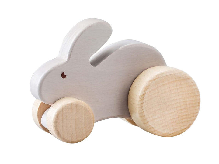 Wooden Animal Car