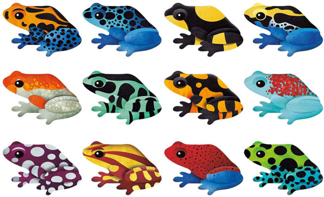 Shaped Memory Match - Tropical Frogs