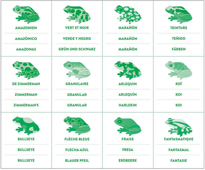 Shaped Memory Match - Tropical Frogs