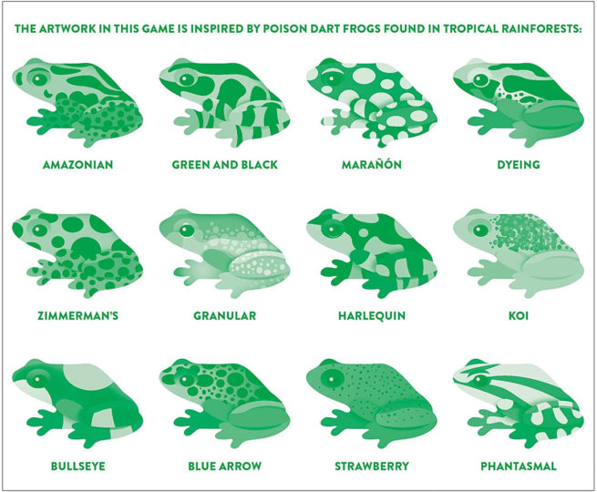 Shaped Memory Match - Tropical Frogs